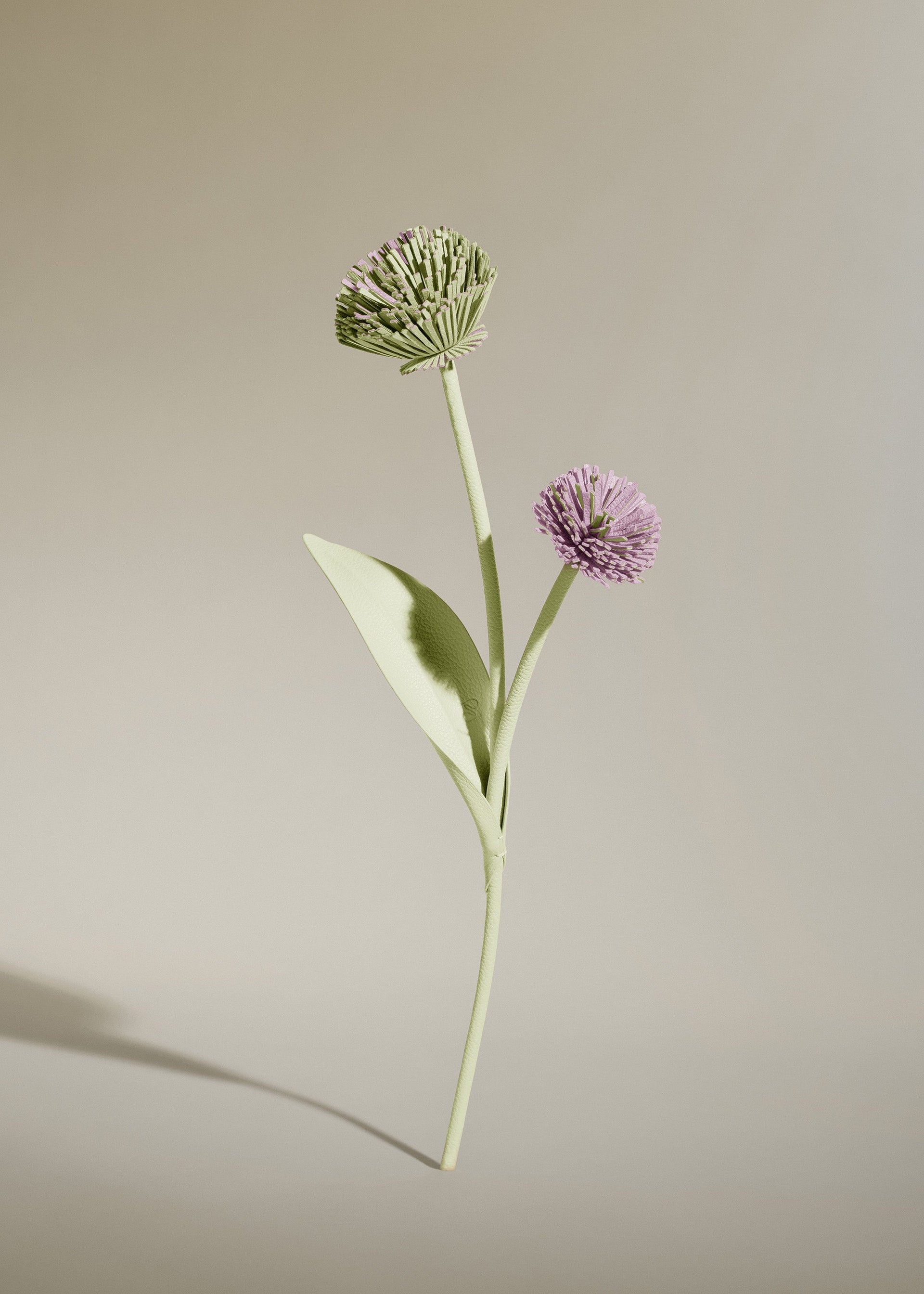 Tul Flower - Aloe