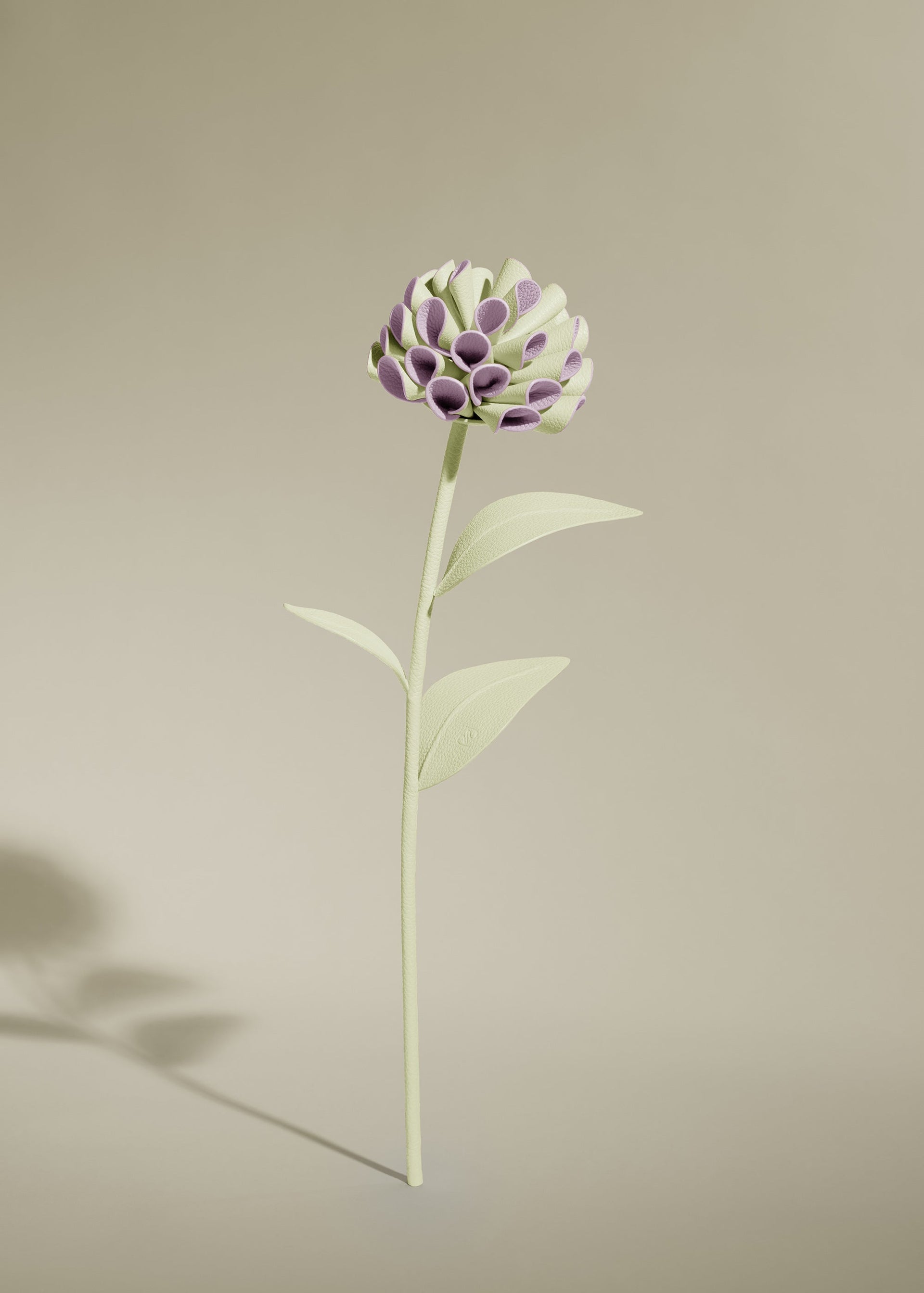 Dalium Flower - Aloe