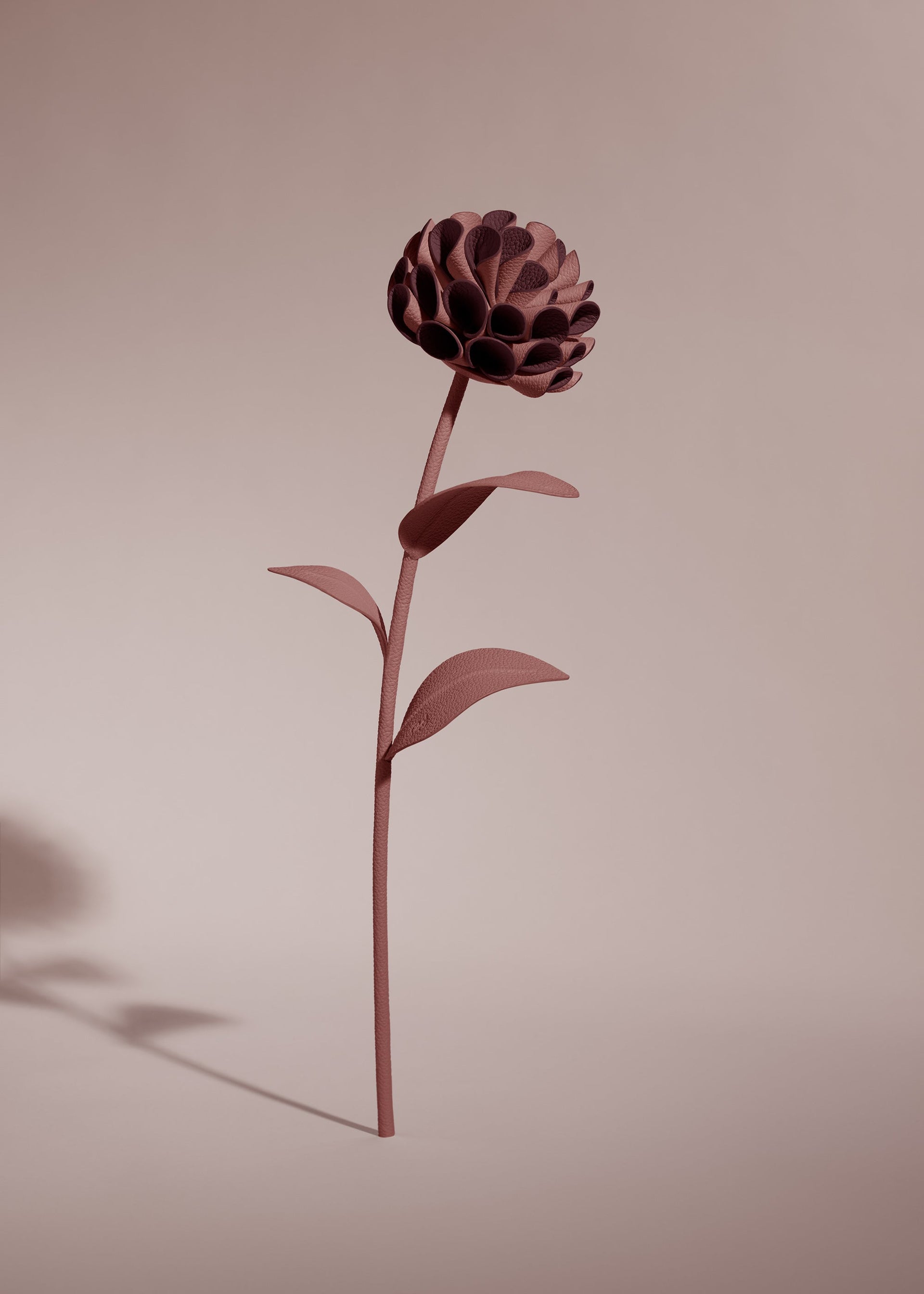 Dalium Flower - Lilac