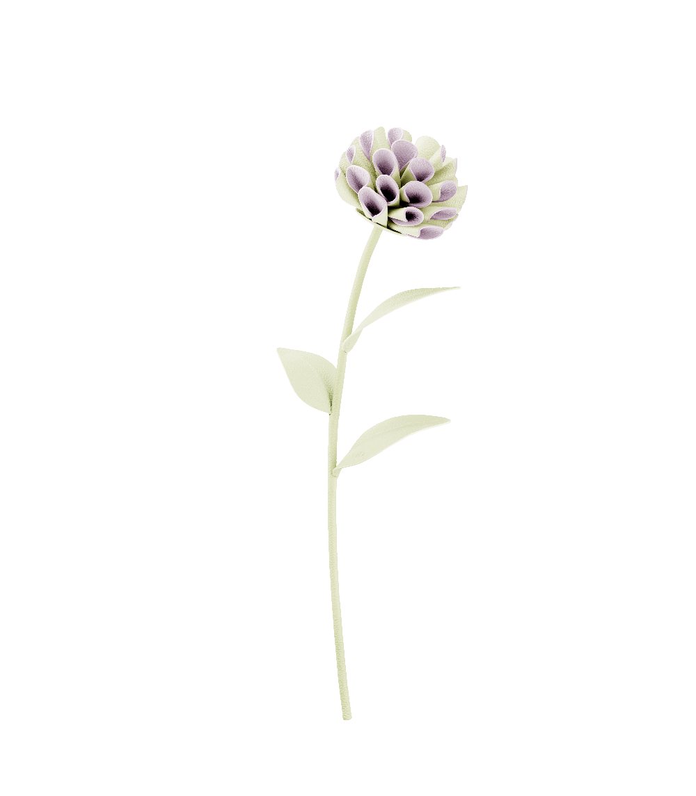 Dalium Flower - Aloe