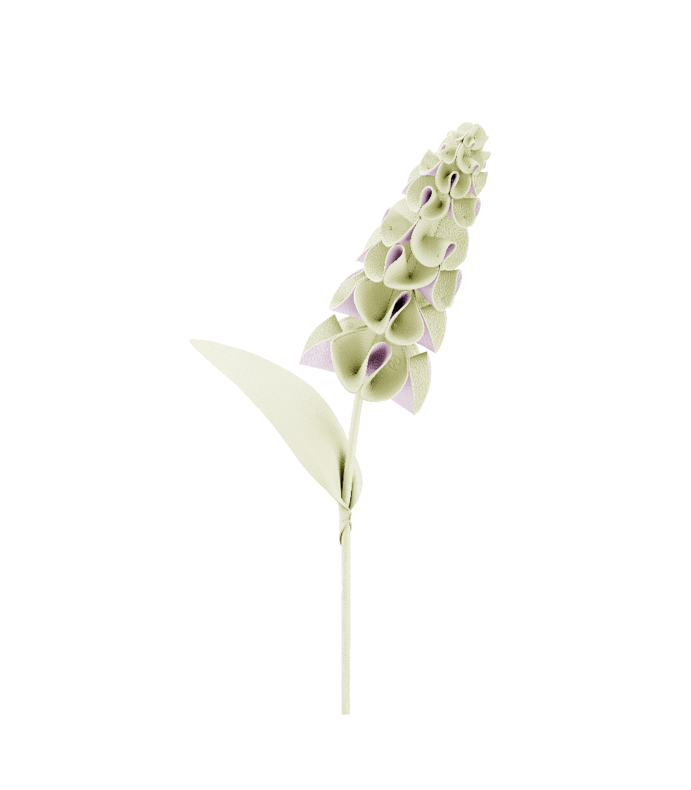 Orki Flower - Aloe