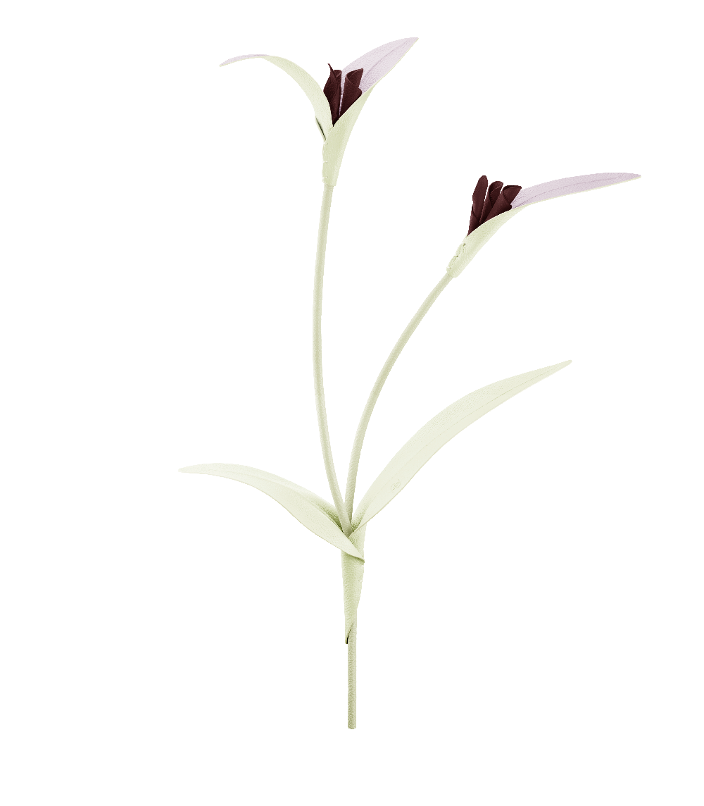 Touka Flower - Aloe
